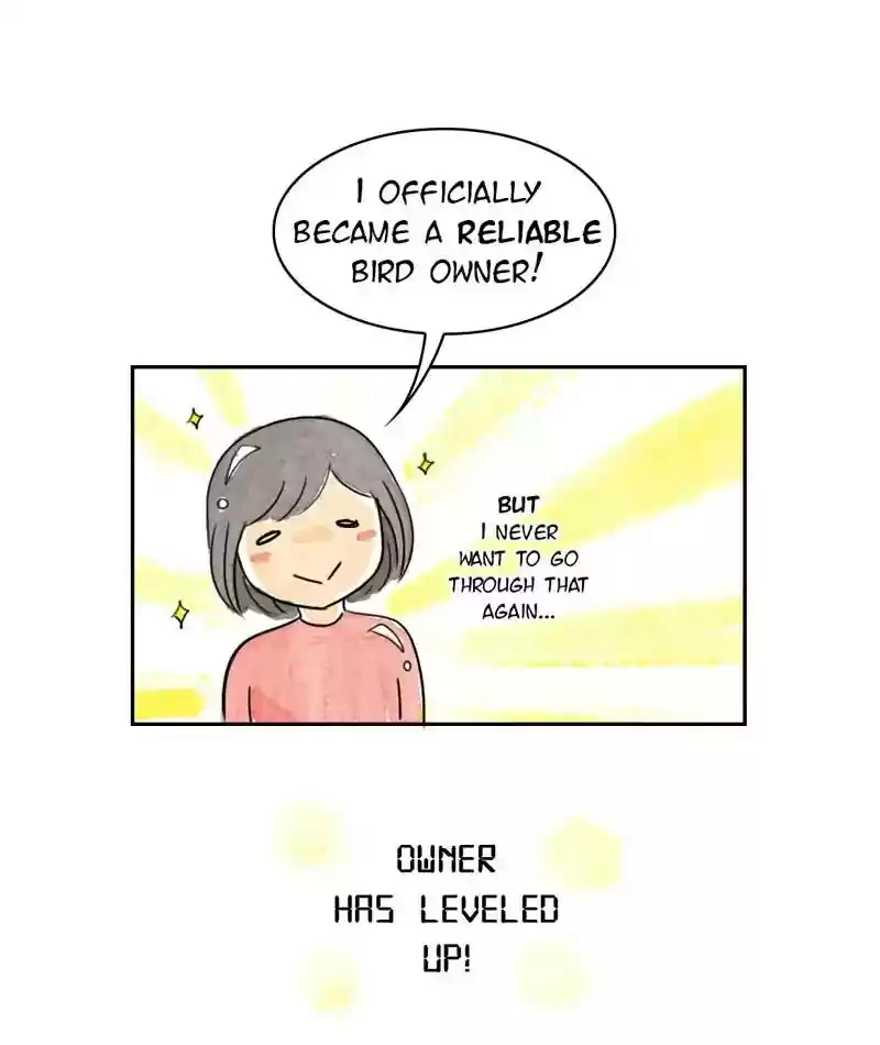 A Budgie's Life Chapter 217: Ep.216: