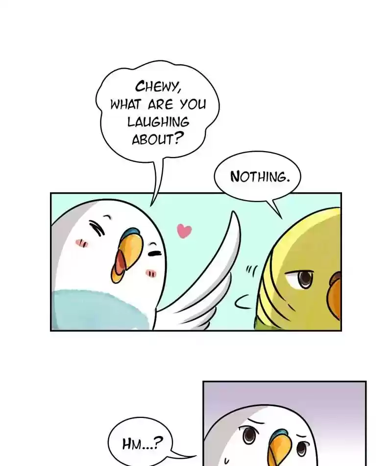 A Budgie's Life Chapter 218: Ep.217: