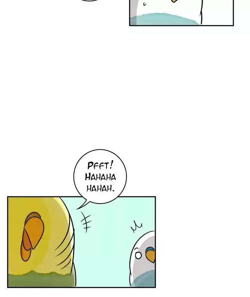 A Budgie's Life Chapter 218: Ep.217: