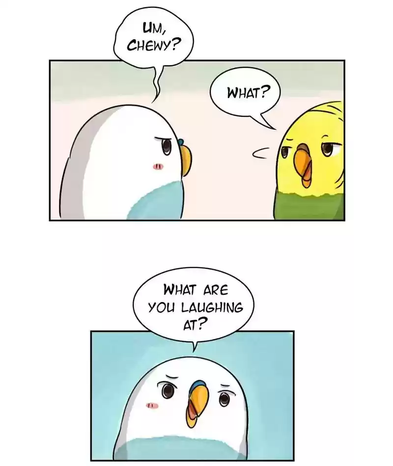 A Budgie's Life Chapter 218: Ep.217: