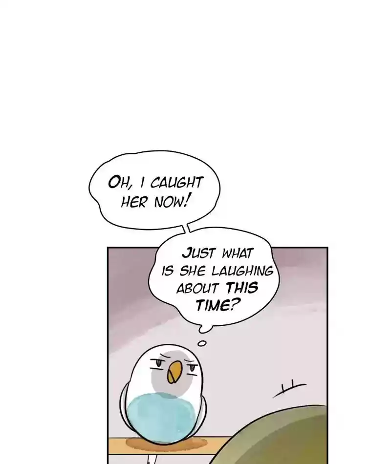 A Budgie's Life Chapter 218: Ep.217: