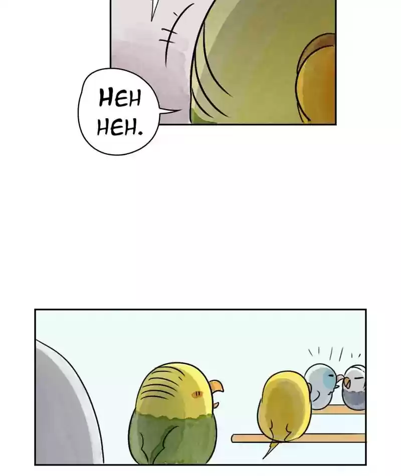 A Budgie's Life Chapter 218: Ep.217: