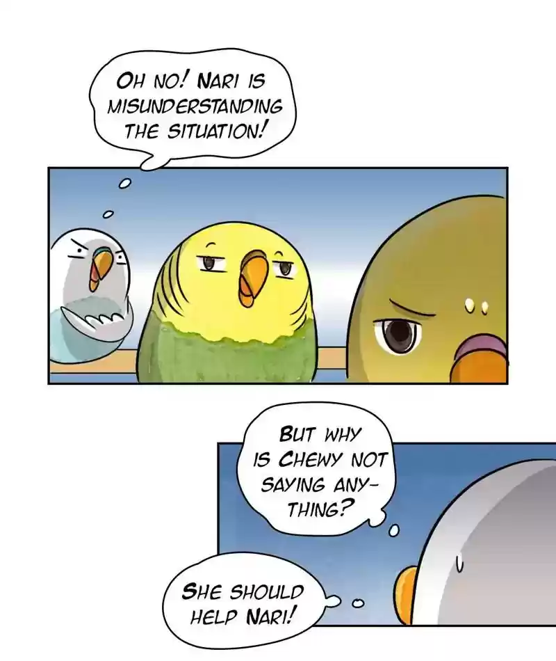A Budgie's Life Chapter 218: Ep.217: