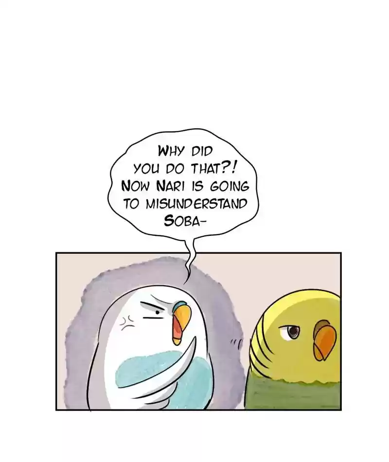 A Budgie's Life Chapter 218: Ep.217: