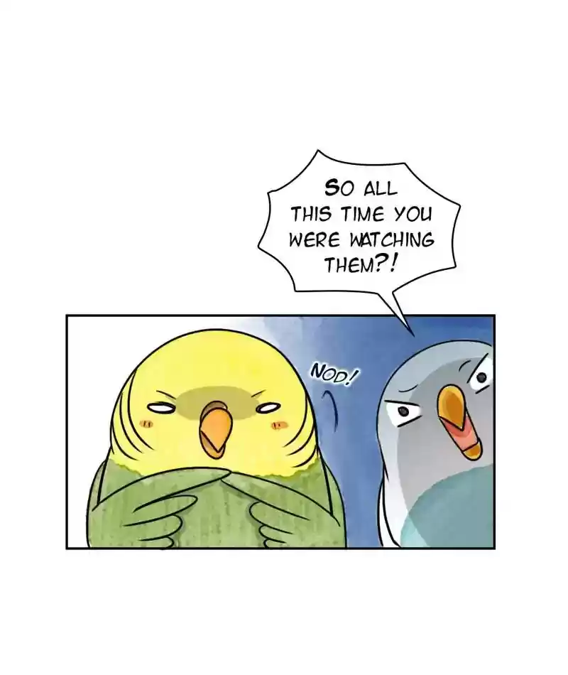 A Budgie's Life Chapter 218: Ep.217: