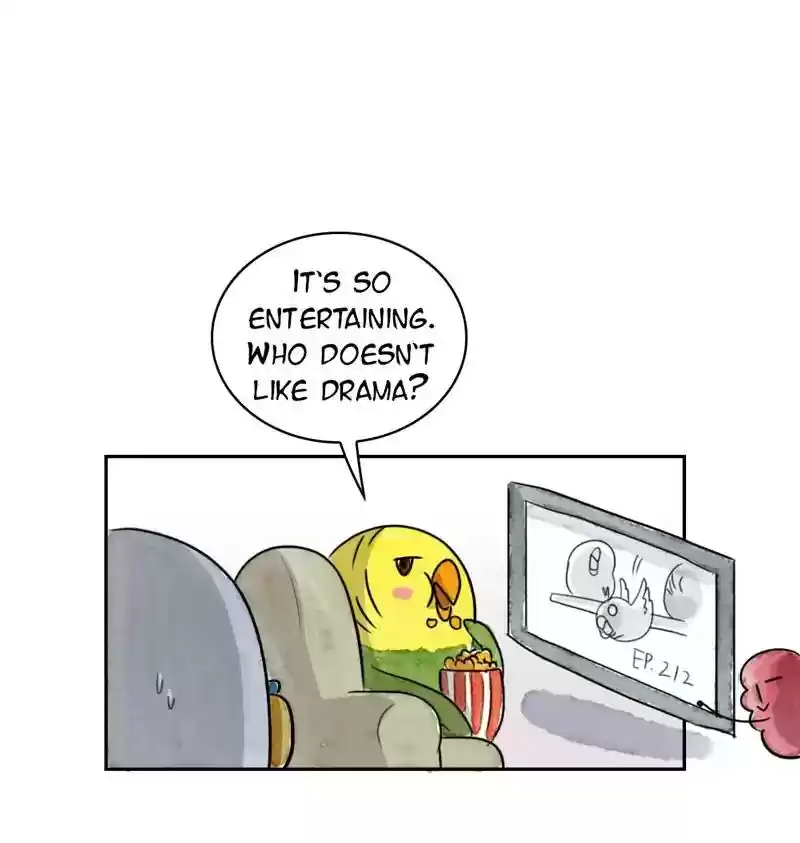 A Budgie's Life Chapter 218: Ep.217: