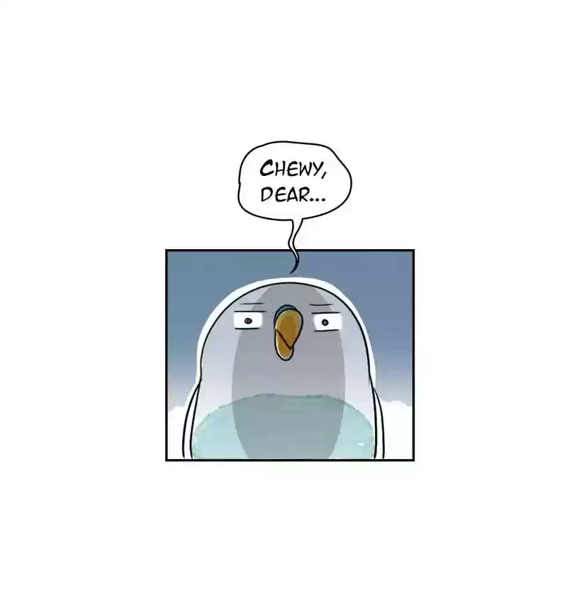 A Budgie's Life Chapter 218: Ep.217: