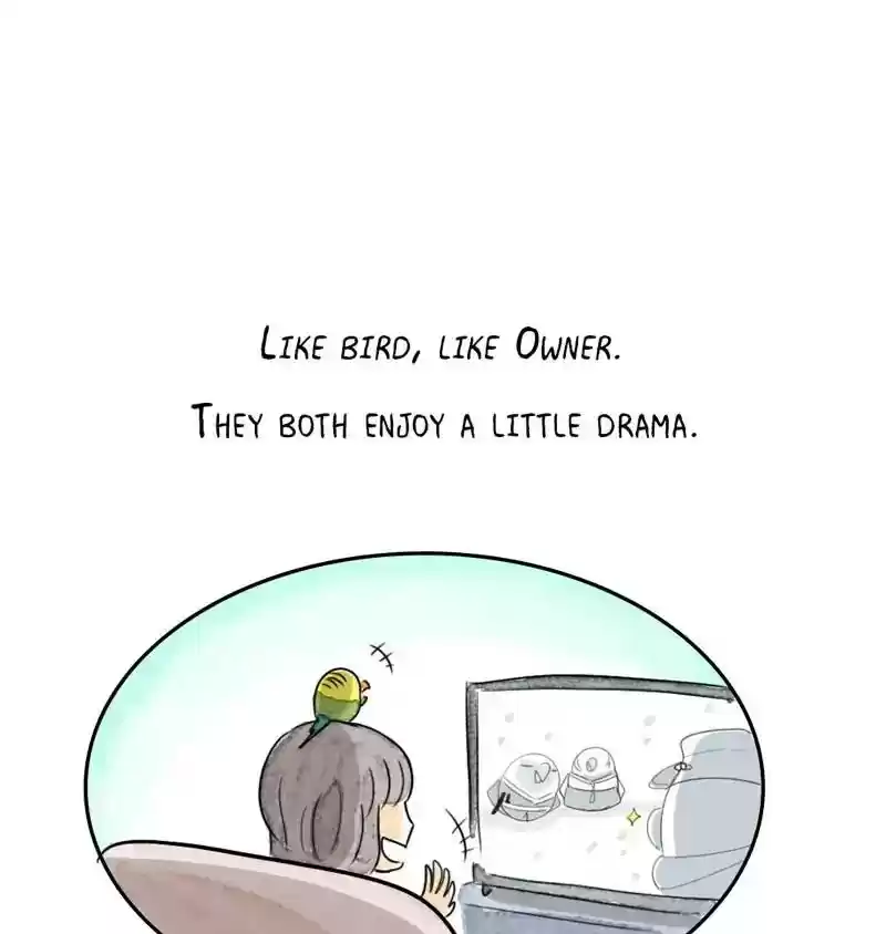 A Budgie's Life Chapter 218: Ep.217: