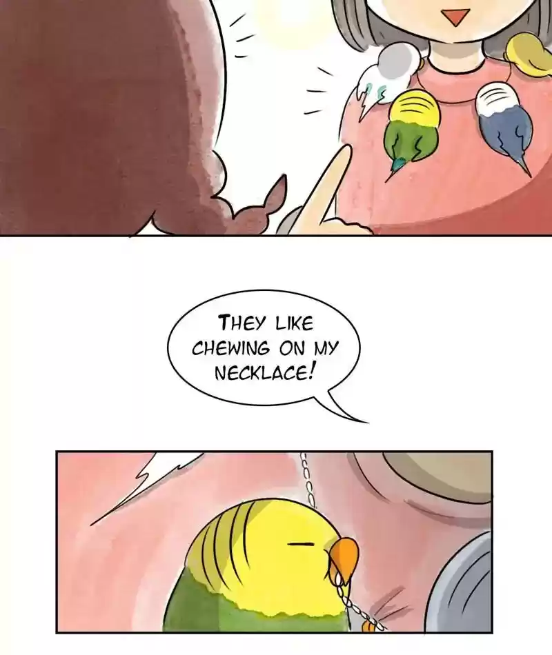 A Budgie's Life Chapter 219: Ep.218: