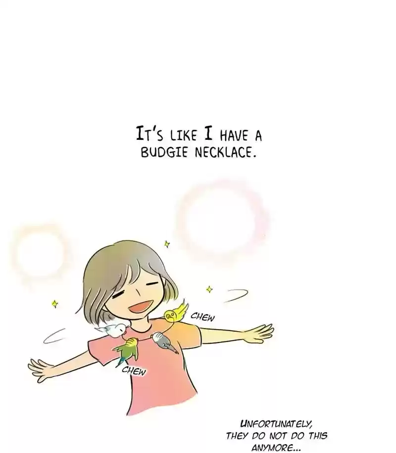 A Budgie's Life Chapter 219: Ep.218: