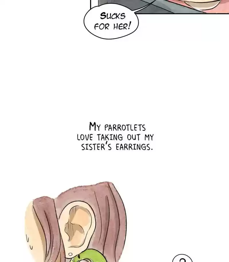 A Budgie's Life Chapter 219: Ep.218: