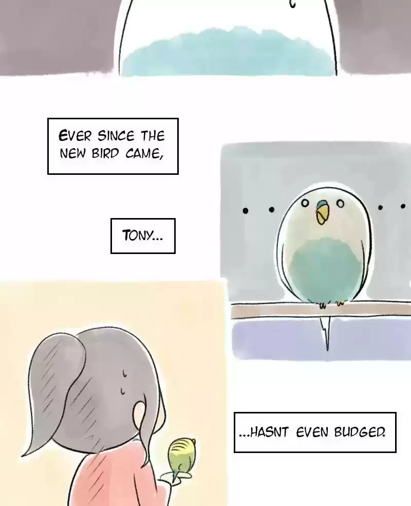 A Budgie's Life Chapter 22: Ep.22: