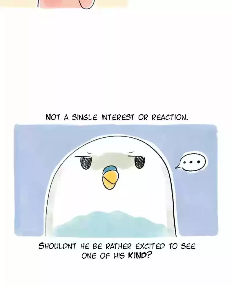 A Budgie's Life Chapter 22: Ep.22: