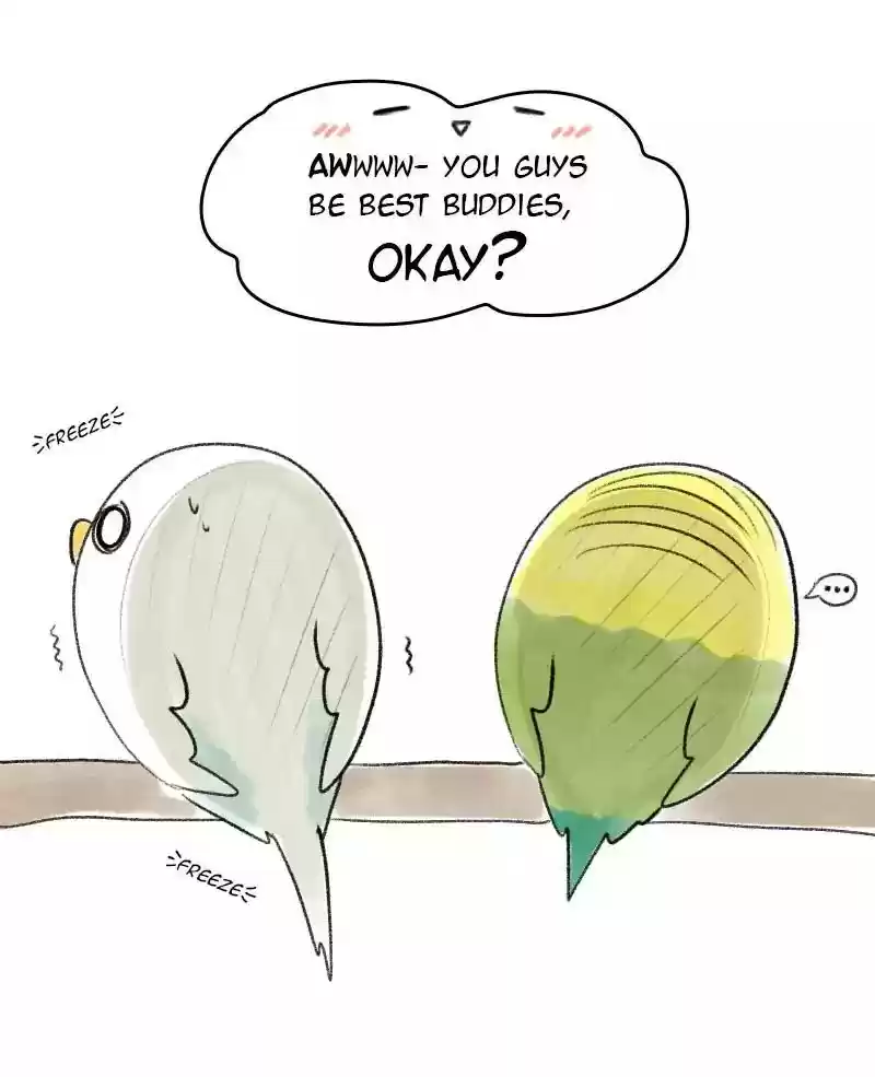 A Budgie's Life Chapter 22: Ep.22: