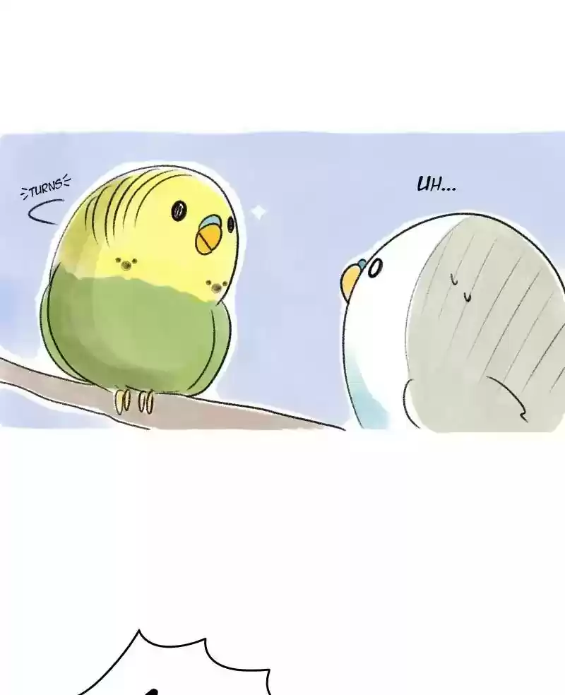 A Budgie's Life Chapter 22: Ep.22: