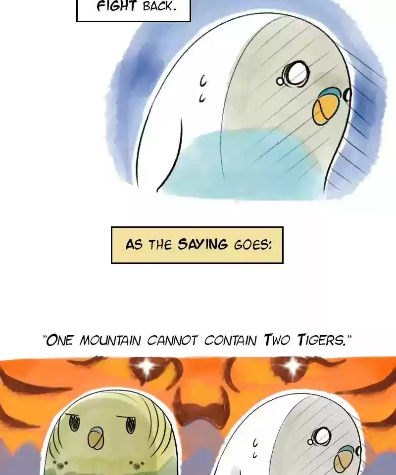 A Budgie's Life Chapter 22: Ep.22: