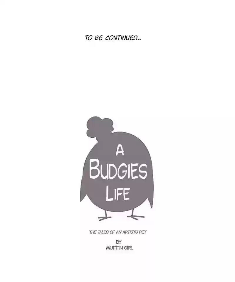 A Budgie's Life Chapter 22: Ep.22: