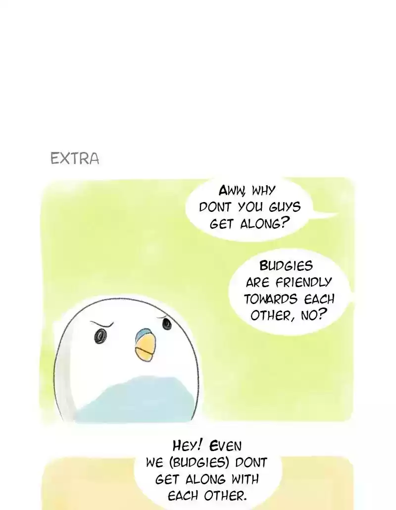 A Budgie's Life Chapter 22: Ep.22: