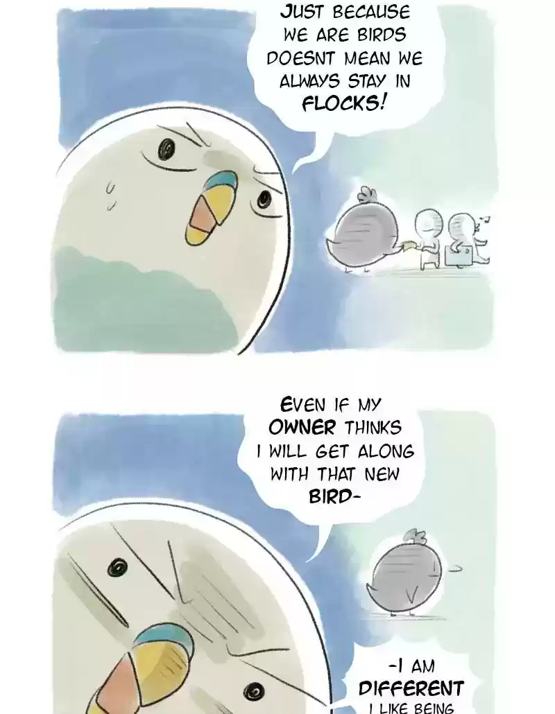 A Budgie's Life Chapter 22: Ep.22: