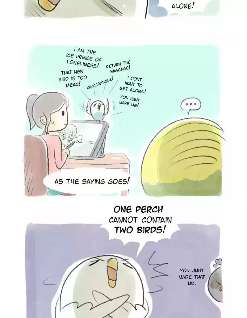 A Budgie's Life Chapter 22: Ep.22: