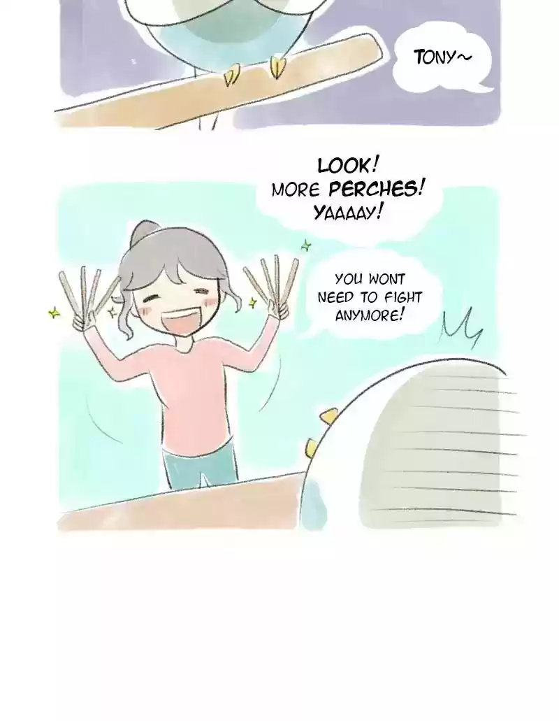 A Budgie's Life Chapter 22: Ep.22: