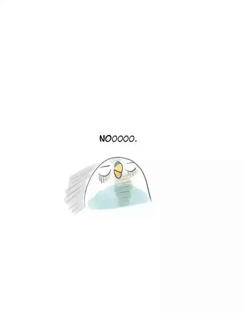 A Budgie's Life Chapter 22: Ep.22: