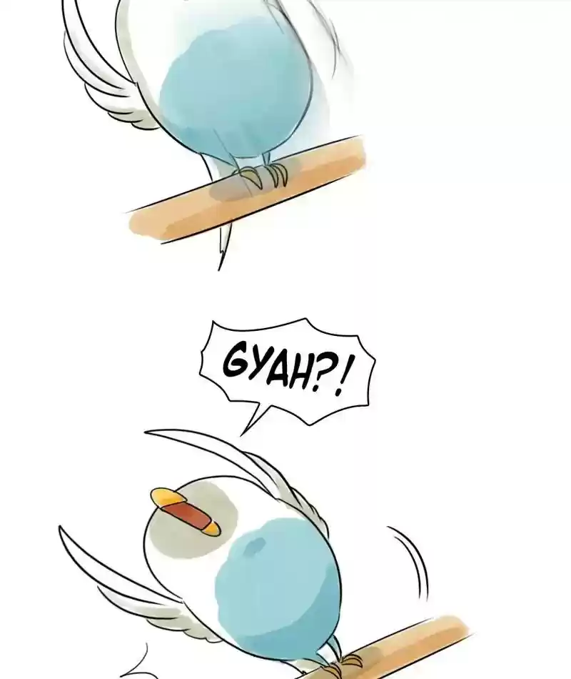 A Budgie's Life Chapter 220: Ep.219: