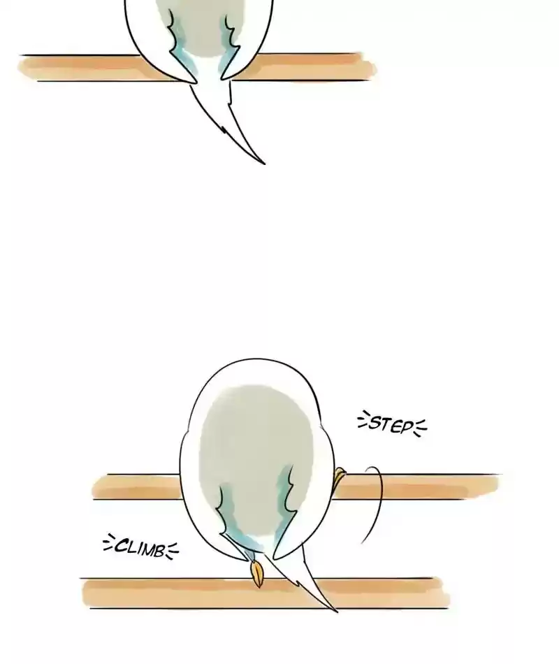 A Budgie's Life Chapter 220: Ep.219: