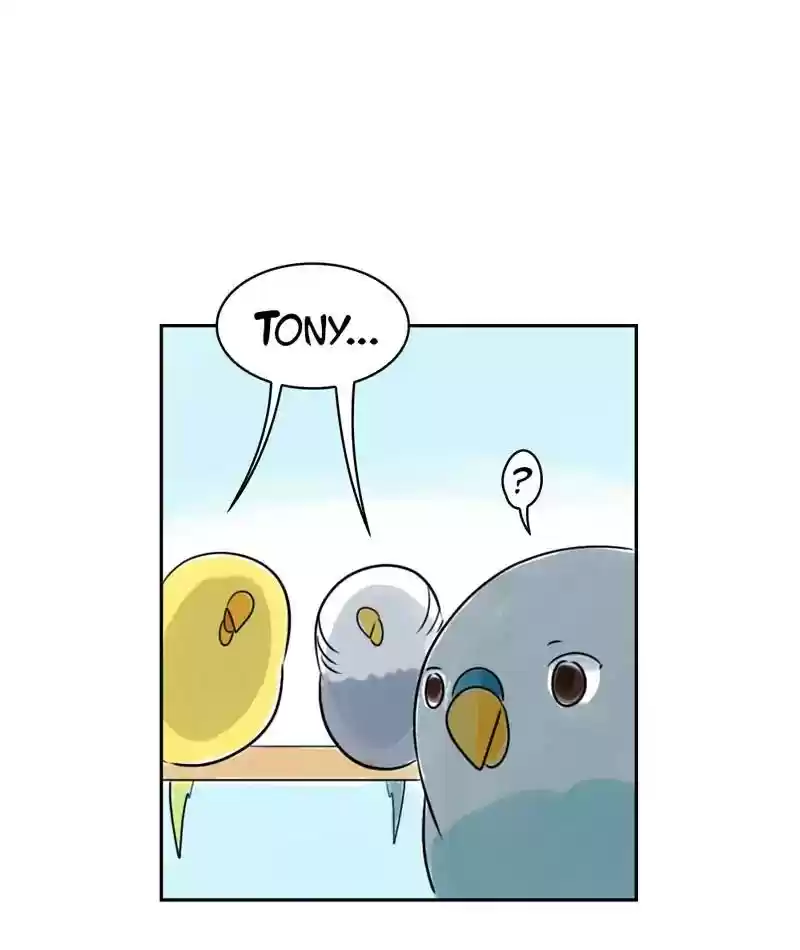 A Budgie's Life Chapter 220: Ep.219: