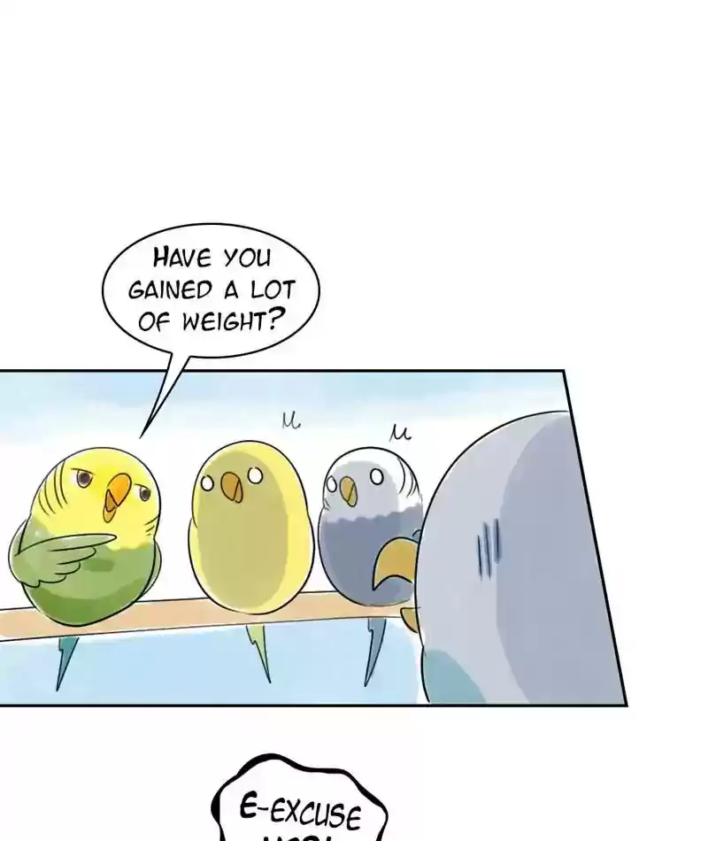 A Budgie's Life Chapter 220: Ep.219: