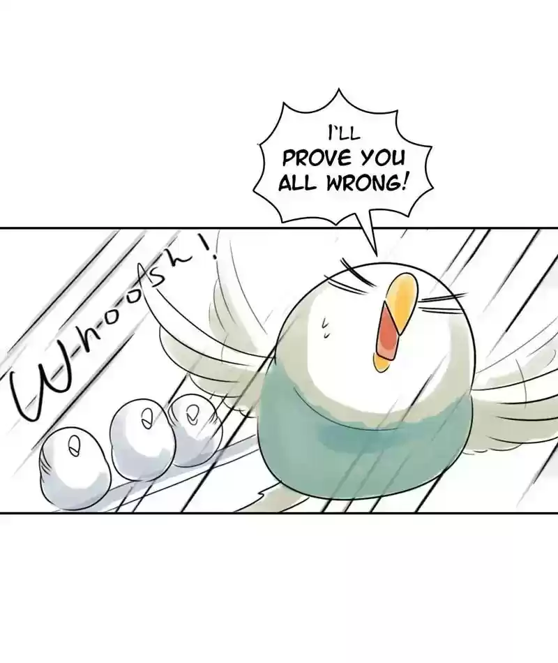 A Budgie's Life Chapter 220: Ep.219: