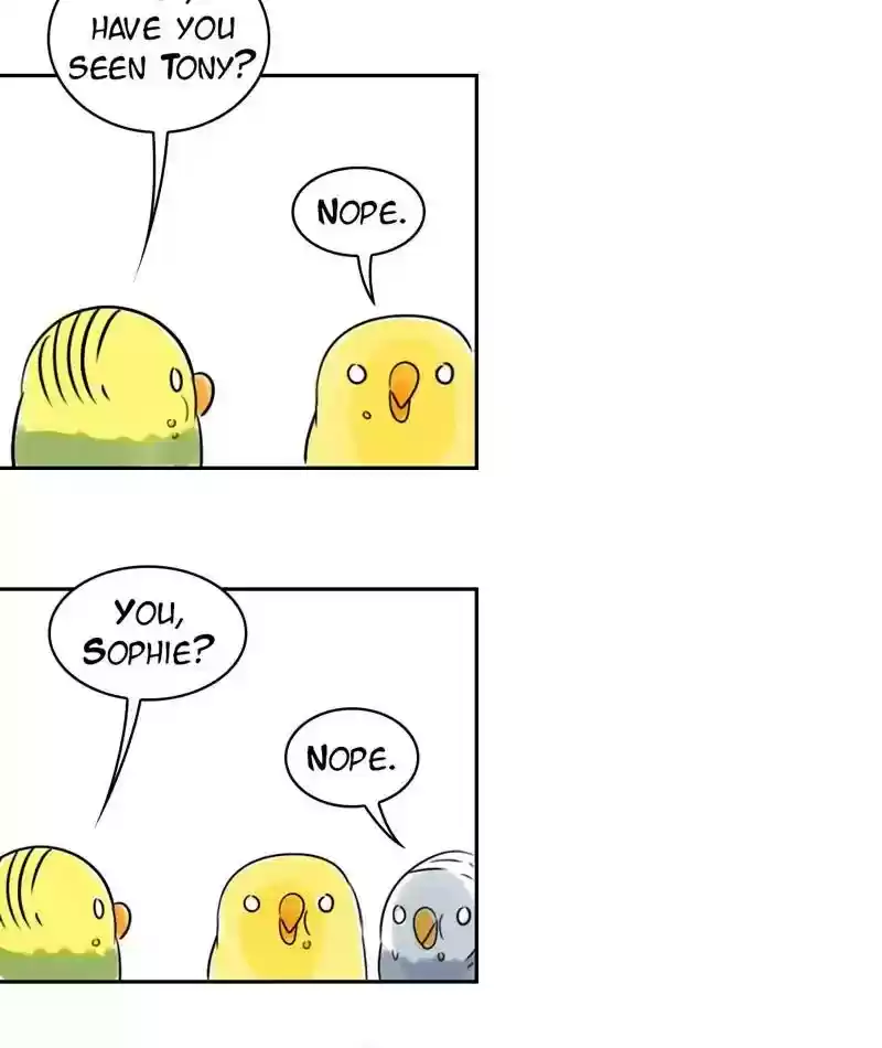 A Budgie's Life Chapter 220: Ep.219: