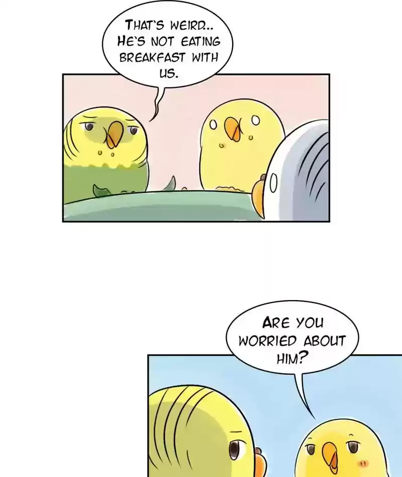 A Budgie's Life Chapter 220: Ep.219: