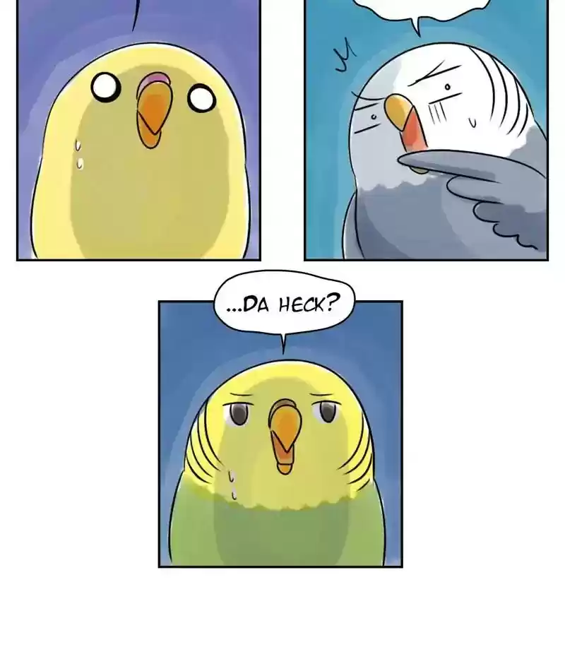 A Budgie's Life Chapter 220: Ep.219: