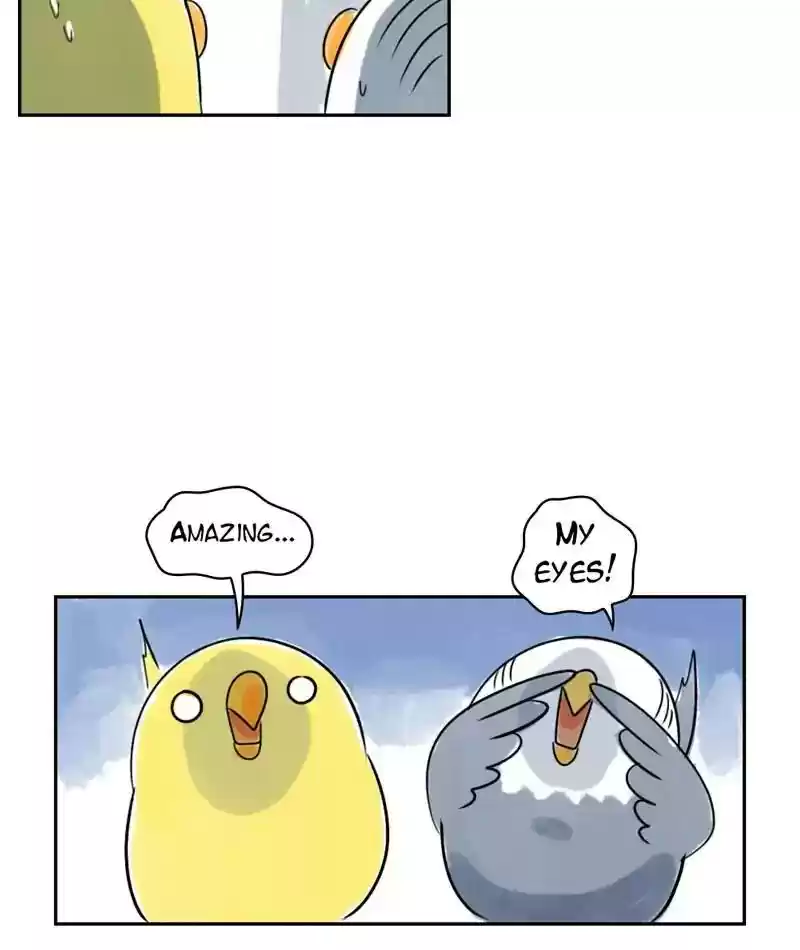 A Budgie's Life Chapter 220: Ep.219: