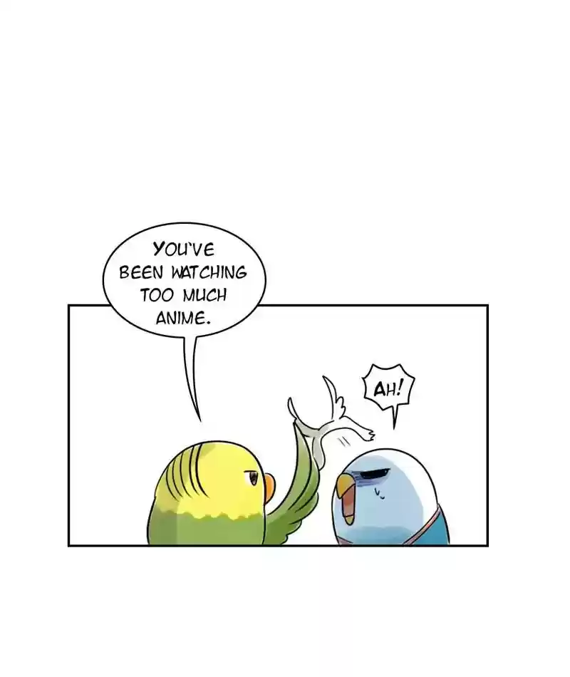 A Budgie's Life Chapter 220: Ep.219: