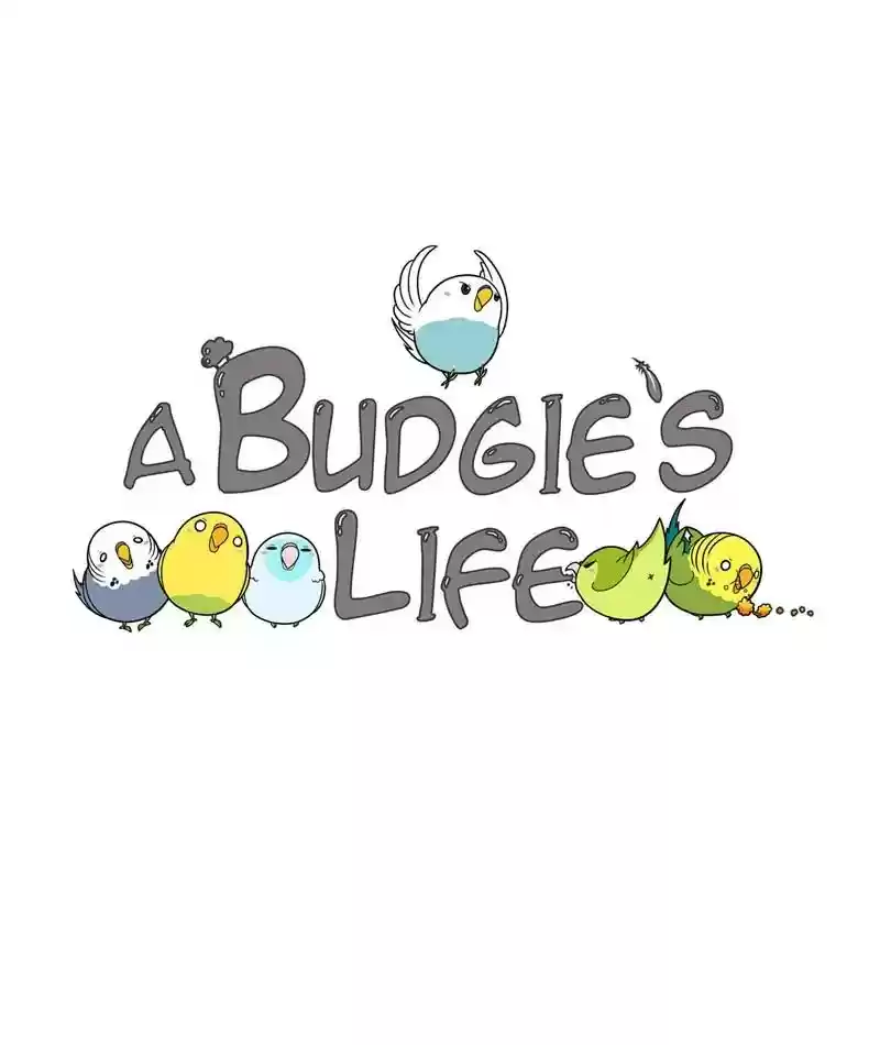 A Budgie's Life Chapter 221: Ep.220: