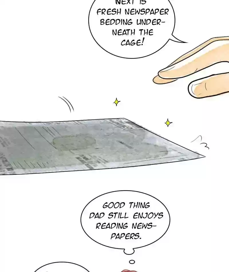 A Budgie's Life Chapter 221: Ep.220: