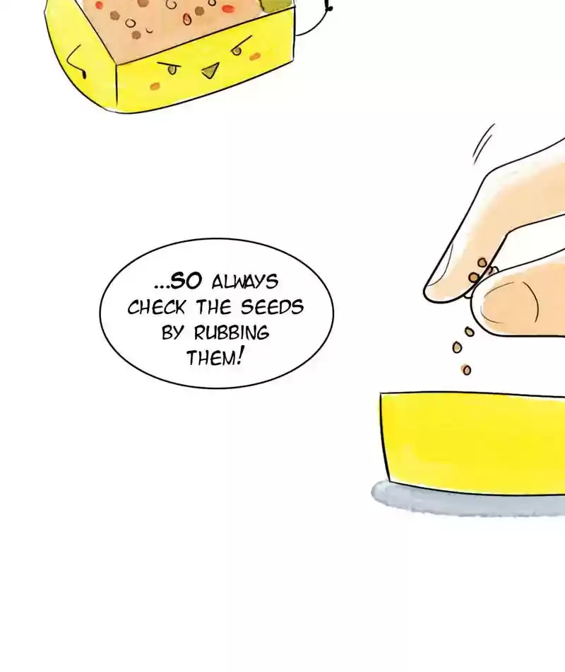 A Budgie's Life Chapter 221: Ep.220: