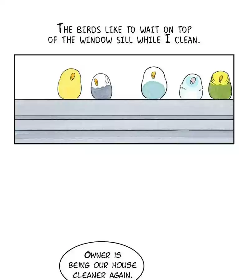 A Budgie's Life Chapter 221: Ep.220: