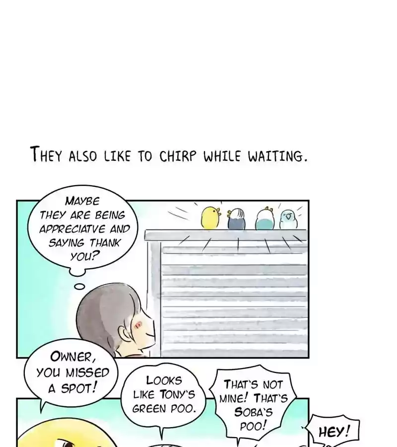 A Budgie's Life Chapter 221: Ep.220: