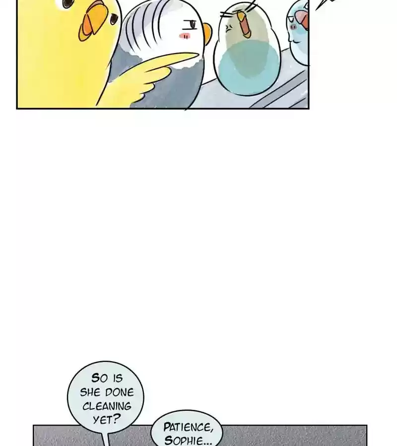 A Budgie's Life Chapter 221: Ep.220: