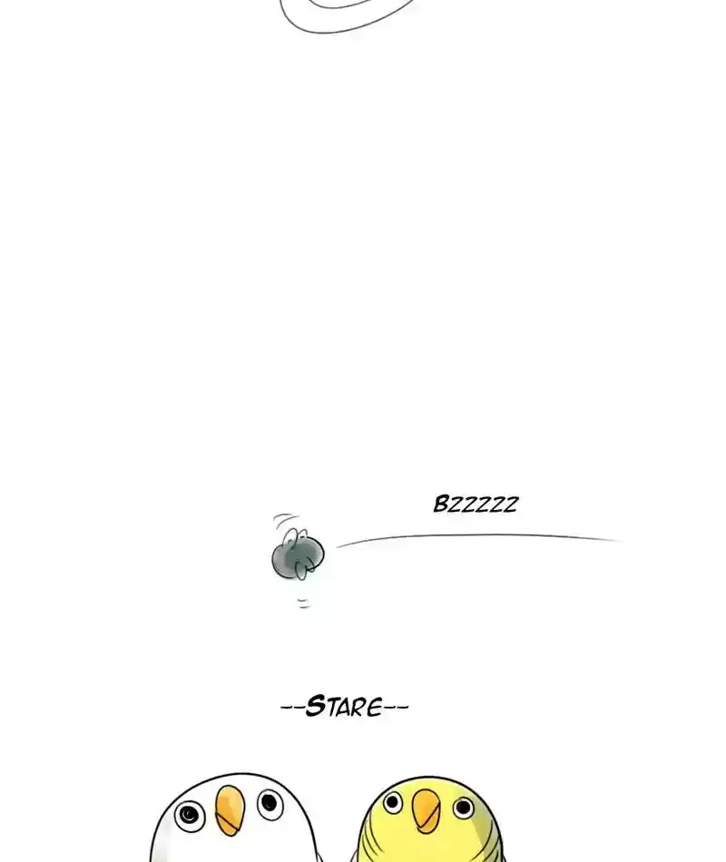 A Budgie's Life Chapter 222: Ep.221: