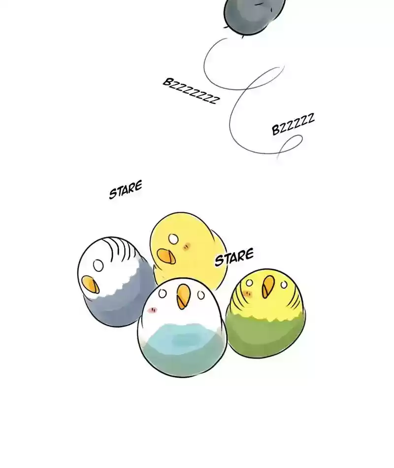 A Budgie's Life Chapter 222: Ep.221: