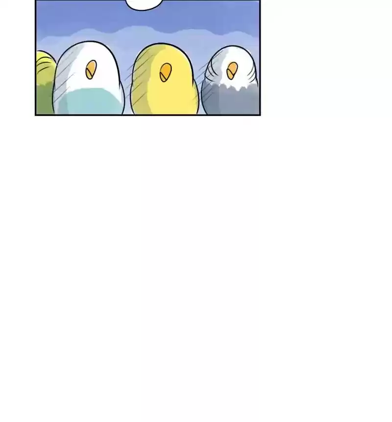 A Budgie's Life Chapter 222: Ep.221: