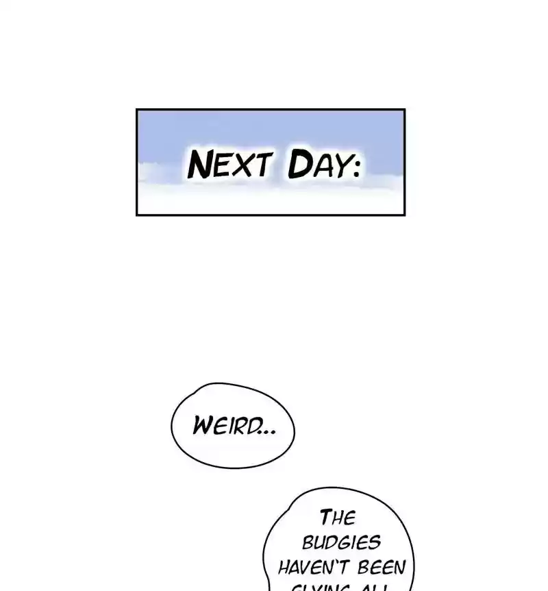 A Budgie's Life Chapter 222: Ep.221: