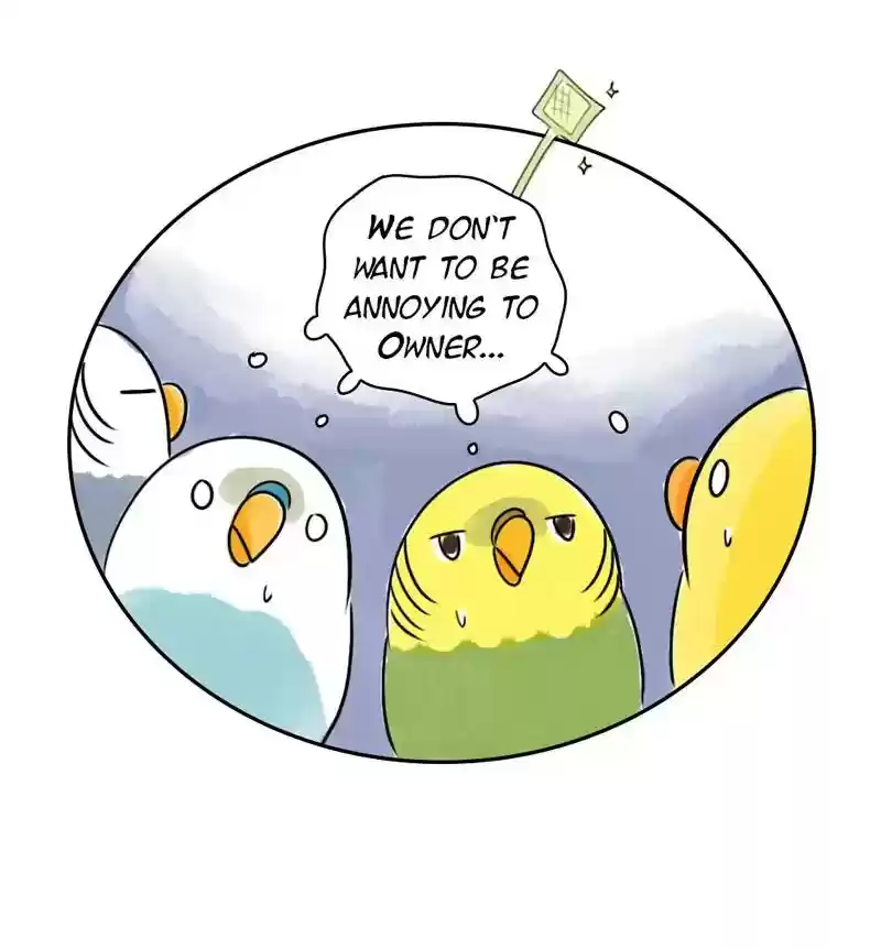 A Budgie's Life Chapter 222: Ep.221: