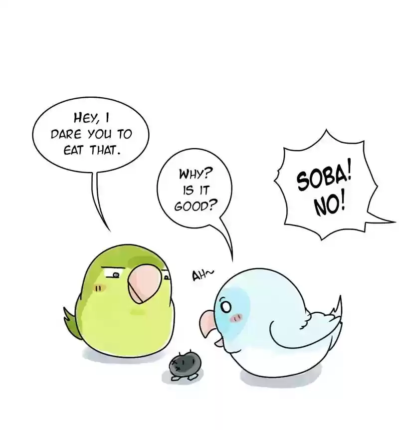 A Budgie's Life Chapter 222: Ep.221: