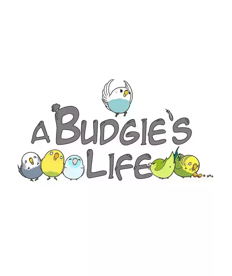 A Budgie's Life Chapter 223: Ep.222: