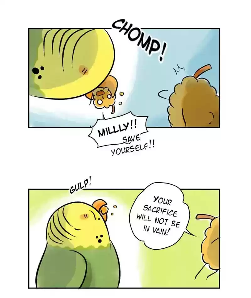 A Budgie's Life Chapter 223: Ep.222:
